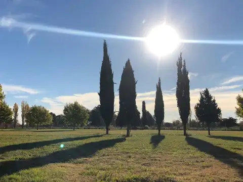 Terreno en Venta en Countries y Barrios Cerrados en Campana, USD 14.900