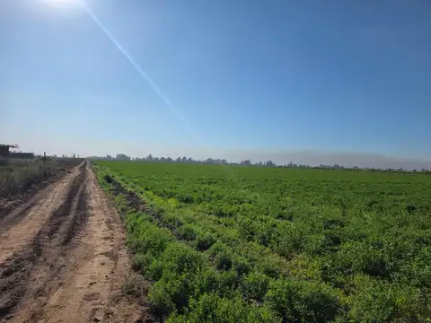 Campo en Venta - 20 hectáreas - Mendoza