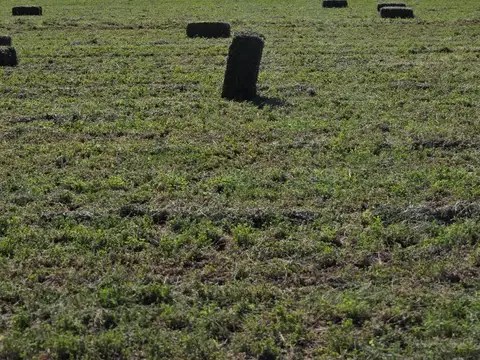 De Los Correa, Lavalle, Mendoza