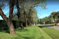 Cardenal del Monte - Foto 13