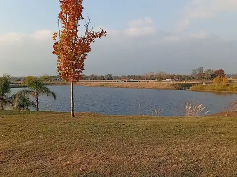 Terreno en Venta de 993,0 m2