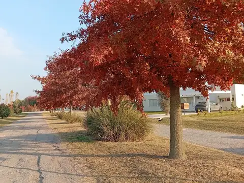 Terreno en Los Juncos Lujan