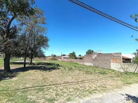 Patagones 300