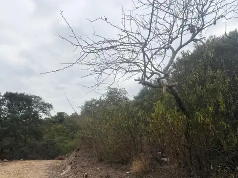 Terreno en Venta en Coronel Moldes, USD 30.000