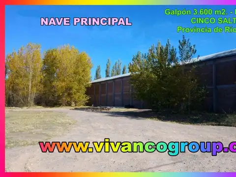 Se alquila galpón de 1.800 m2. en zona de chacras de cinco saltos - provincia de río negro