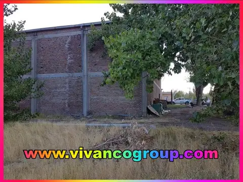 Se alquila Galpón de 1.800 m2. en zona de chacras de Cinco Saltos - Provincia de Río Negro