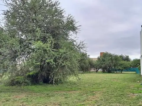 Terreno en Venta de 513,0 m2