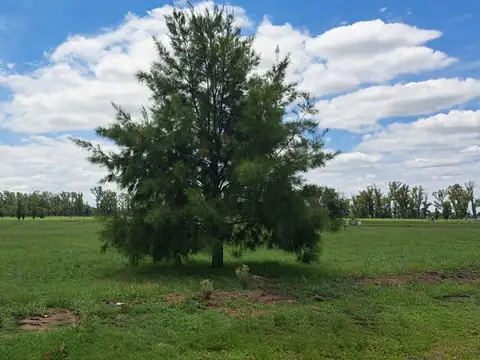 Lote en venta - Comarcas de Luján- Barrio cerrado Santa Inés