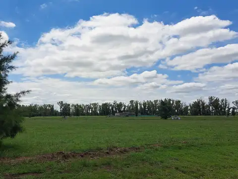 Terreno en Venta en Countries y Barrios Cerrados en Lujan, USD 35.000