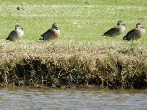 terreno oportunidad barrio cerrado campo timbó oliveros