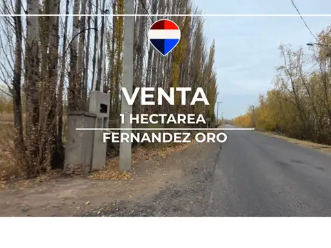 VENTA CHACRA 1 HECTAREA FERNANDEZ ORO