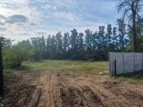 HERMOSO TERRENO EN CARABASSA PILAR.