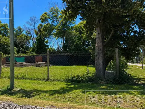 Terreno en Alquiler de 1717,0 m2