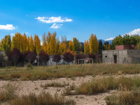 Terreno en Venta en Vistalba, Lujan de Cuyo