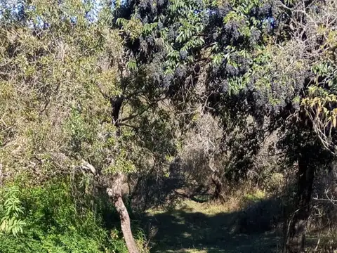 Terreno en Venta en Villa Allende, USD 75.000