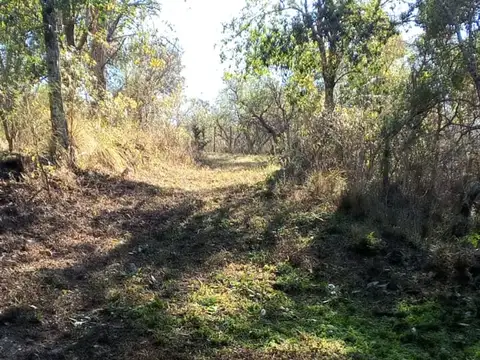 VENTA LOTE CAMINO PAN DE AZUCAR