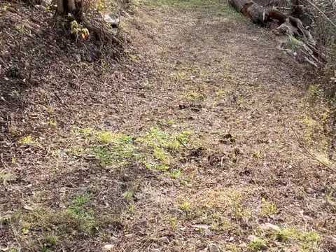 Terreno en Venta de 15150,0 m2