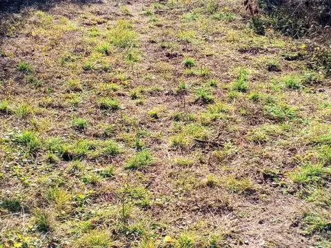Terreno en Venta de 15150,0 m2