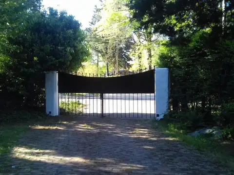 Juan Domingo Perón 1500