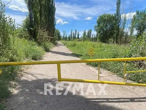 Ceferino Namuncurá entre  Mordacci y Martin Fierro 100