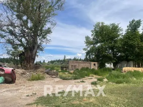 CHACRA EN VENTA HA EN BLANCO A METROS DE RUTA 22