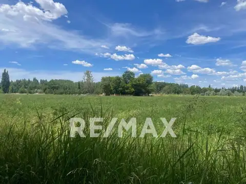 CHACRA EN VENTA HA EN BLANCO A METROS DE RUTA 22