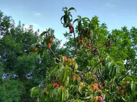 Ruta Provincial E 96 Camino Rural 2 Santa Maria Cordoba