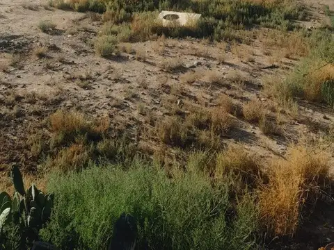 Quintana