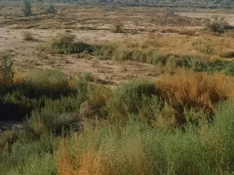 Terreno en Venta de 200,0 m2