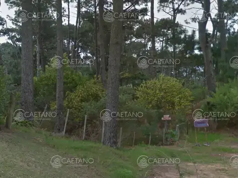 Terreno en Venta en Montoya, USD 135.000