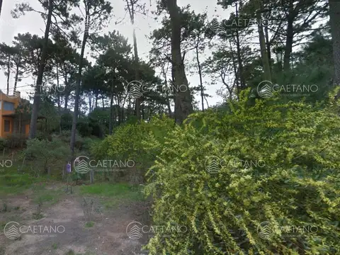 Terreno en Venta de 600,0 m2