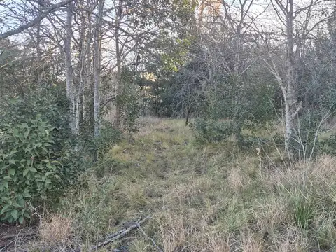 OPORTUNIDAD VILLA GIARDINO 800 MTS LOS QUIMBALETES