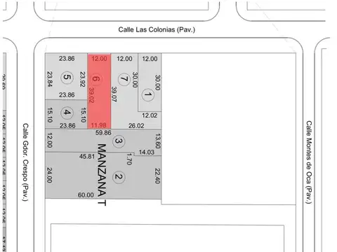 VENTA / LOTE / CALLE LAS COLONIAS / NUEVO BELGRANO