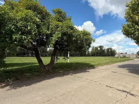 VENTA / LOTE / CALLE LAS COLONIAS / NUEVO BELGRANO