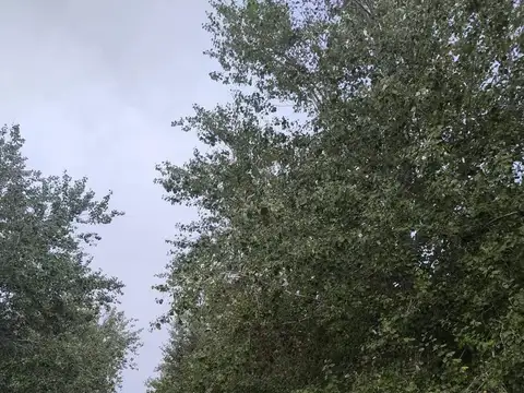 Terreno en Venta de 518,0 m2