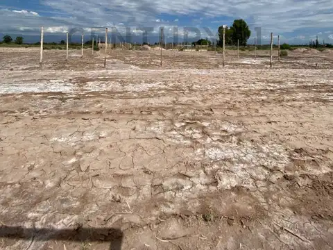 SAN MIGUEL , Piso 0