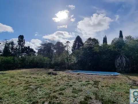 BªCº Parque Pero, Dabove entre Bach y Schuman 100