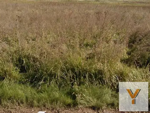 Terreno en Venta en Necochea, USD 150.000