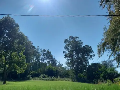 Terreno en Venta en Reconquista, General Obligado