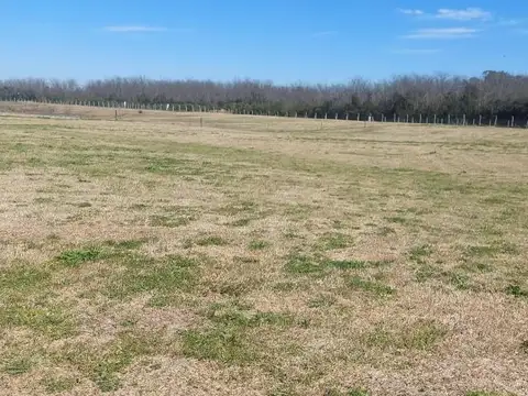 Terreno en Venta 40  mts Fondo