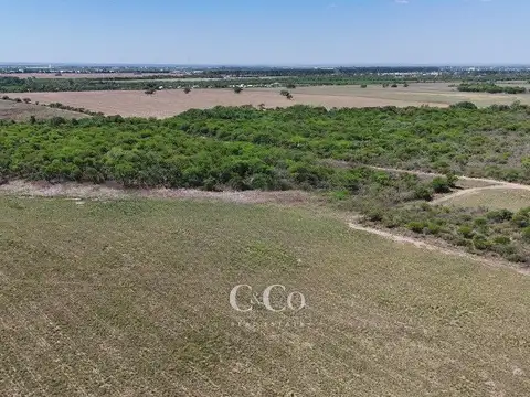 SE VENDE POTENCIALES 155 HAS SOBRE RUTA EX RURAL N°7- VILLA MERCEDES, SAN LUIS