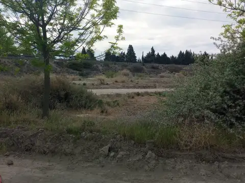 Terreno en Venta 21  mts Fondo