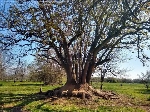 Libertad 5000, Marcos Paz