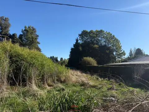 Terreno en Venta 36,50  mts Fondo