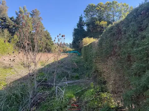 Terreno en Venta 20  mts Frente