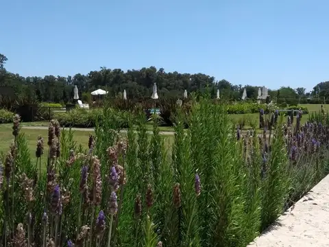 Campos de Roca II