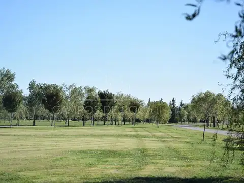 Terreno en Venta en Countries y Barrios Cerrados en Brandsen, USD 19.000