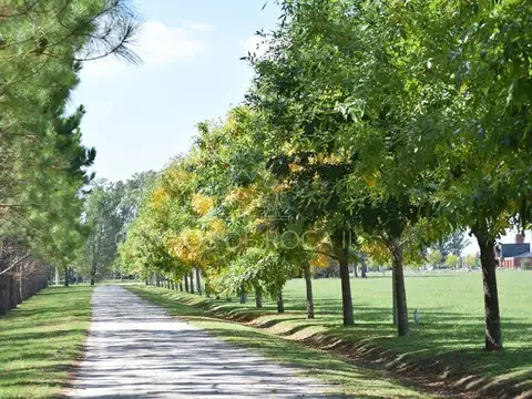 Terreno en Venta de 2104,0 m2