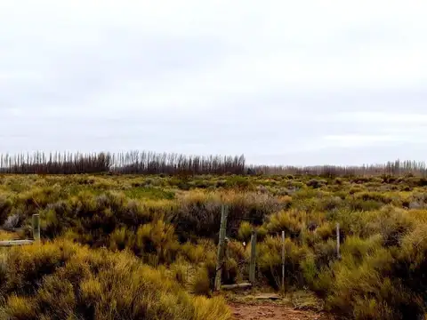 Terreno en Venta de 100000,0 m2