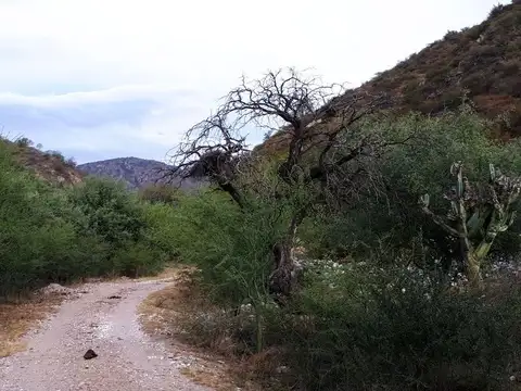 Terreno de 25Ha en VENTA con mejoras y acceso al Río Quilpo de San Marcos Sierras